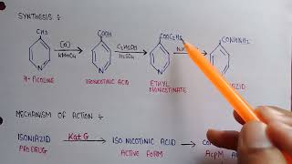 Isoniazid  synthesis of isoniazid  mechanism of action of isoniazid  Antitubercular drugs [upl. by Ajak]