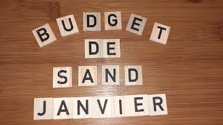 budget janvier 2024 23 [upl. by Anayi]