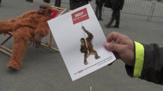 Greenpeace protests at Nestle shareholder meeting [upl. by Danete]