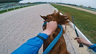 NEW RECORD 1 Place Graded 3 Race 1400 m 1257  Zwegat GER  Kincsem park Budapest  GoPro [upl. by Christa]