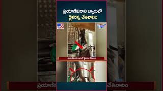 iSmart News  ప్రయాణికురాలి బ్యాగులో డ్రైవరన్న చేతివాటం  RTC Driver Robbery in Passenger Bag  TV9 [upl. by Aney386]