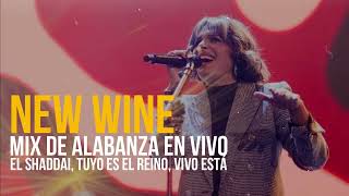 NEW WINE  El SHADDAI  Tuyo es el Reino  Vivo está  MIX de alabanza 🔥🔥 [upl. by Groome170]