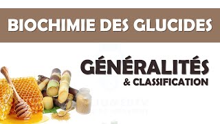 Biochimie des Glucides  Généralités [upl. by Ricardama]