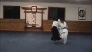 Aikido Shodan Grading Demonstration [upl. by Aikrehs]