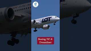 Boeing 7878 Dreamliner [upl. by Gorlicki]