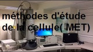 cytologie méthodes détude de la cellule microscopes électroniques MET [upl. by Bolitho710]