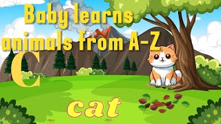 Discover the FASTEST way to teach animals from A to Z [upl. by Marra252]