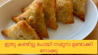 Samosa Recipe Homemade Perfect Samosa Sheet Recipe  Make and Freeze Samosa Sheet [upl. by Rodi]