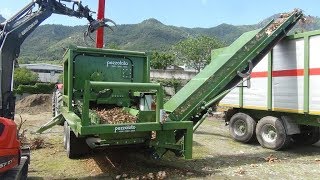 PTT 20001200 Pezzolato grinding for roots whole trees slash stumps driven by 260 Hp tractor [upl. by Uda232]