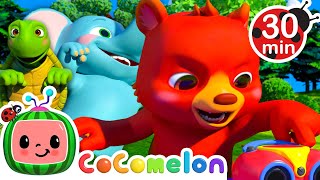 How to Animal Freeze Dance  CoComelon Animal Time  Learning with Animals  Nursery Rhymes for Kids [upl. by Alexia]