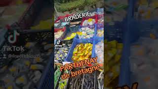 Braderie Parthenay de Bretagne [upl. by Snevets]