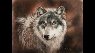 Paint a Wolf in Pastel Part 1 [upl. by Ettenwad]