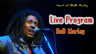 At Live Program Rainbow 🌈 London 1977 BoB Marley Jamaican Legendary singers [upl. by Ellevart]