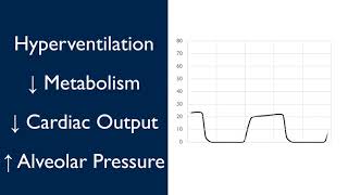 Waveform Capnography [upl. by Dnalerb]