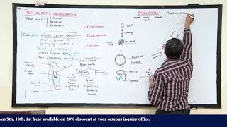 Online Lecture 93 Biology F Sc I 70 [upl. by Elocaj]