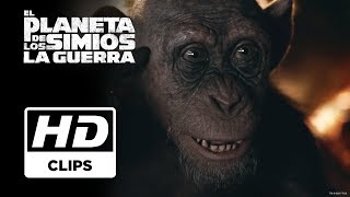 El Planeta de los simios La Guerra  Clip Simio Malo doblado  Próximamente  Solo en cines [upl. by Nahguav]