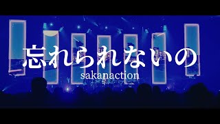 sakanaction  잊을 수 없어忘れられないの  가사  라이브  Lyrics [upl. by Wakeen]