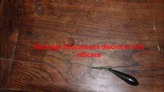 Montage CARPE fluorocarbone facile et efficace [upl. by Ready]