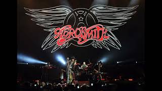 Aerosmith  19930906  Foxboro MA 🇺🇸 Live Show [upl. by Lodi]