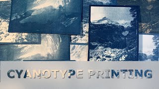 Cyanotype Printing Using A DIY Kit And Sunlight [upl. by Colvert]