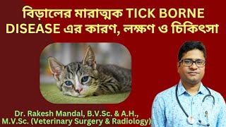 বিড়ালের মারাত্মক TICK BORNE DISEASE এর কারণ লক্ষণ ও চিকিৎসা II tickfeverincats [upl. by Ledniahs]