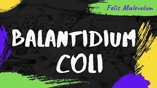 Balantidium coli Balantioides coli Neobalantidium coli [upl. by Ihtak]