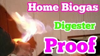 Proof Home Biogas Digester Works Big Flame [upl. by Rasia28]