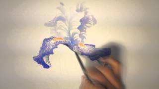 Un iris à laquarelle watercolor tutorial [upl. by Medina]