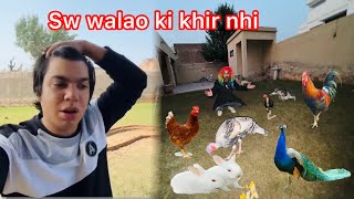 Waleed ko video msg bej diya💪or sub pets Khush ho gye🥰PetHouse786 [upl. by Ahsei]