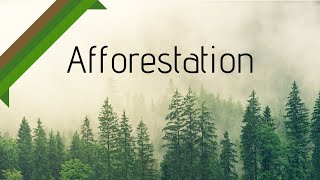 Afforestation  Geography Dictionary [upl. by Aire]