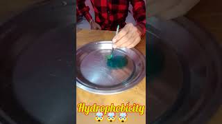 Hydrophobicity🤯shorts experiment [upl. by Alissa255]