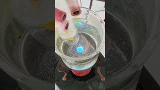 practicalDissolution of benzoic acid in water practical chemistryexperiment chemistrypractic [upl. by Idnal]