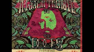 A Psych Tribute To The Doors Full Album [upl. by Edivad]