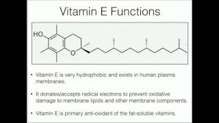 Vitamin E Antioxidant Function [upl. by Atinob]