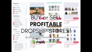 Buy or Sell a Dropshipping Store with Shopify Exchange Marketplace [upl. by Tavish]