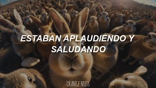 Radiohead  Myxomatosis Sub Español [upl. by Almap]