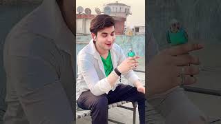 एक डाल पर तोता बोले 🌿🦜 mastistr anwarhabib01 mohammedrafi youtubeshorts shorts viralvideo [upl. by Lehcem]