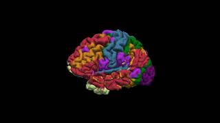 Video 1  Overview of Networkbased Lesion Overlap Analysis [upl. by Akcimat]