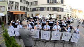 Sommerkonzert Münsterhof 11062013 [upl. by Nava548]