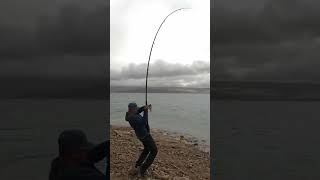 Yamula Barajı Kamp balıkçılık fishing carpfish balık [upl. by Beret]