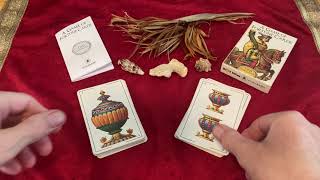 Playing Scopa with quotA Game of Fortune Cardsquot deck by Lo Scarabeo A very popular Italian card game [upl. by Monto]