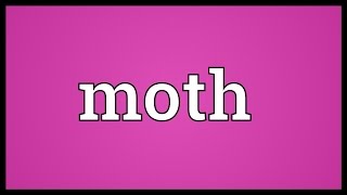 Moth Meaning [upl. by Aay661]