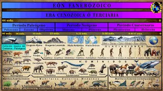 Las Eras Geológicas 5 La Era Cenozoica [upl. by Airdnaed261]