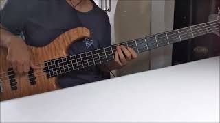 Yutaka Ozaki  I Love You bass cover [upl. by Rourke131]