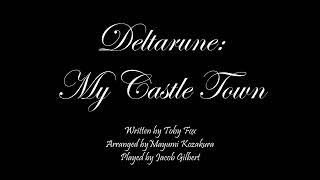 Deltarune My Castle Town  Cover [upl. by Yssirc]