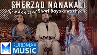 Sherzad Nanakali  Shari Bayakawazhyan  شێرزاد نانەکەلی  شاری بەیەکەوە ژیان [upl. by Nayarb]