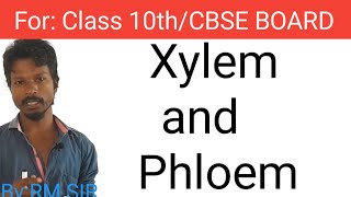 Difference between Xylem and Phloem I NEET BIOLOGY I class 10th [upl. by Ellenad]