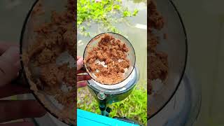 Câu cá tự nhiên p3 câucá fishing carpfishing xuhuong carp fishingvideo fish kawaii [upl. by Fagen]