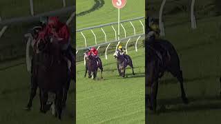 BELLA NIPOTINA grabs I WISH I WIN to take out the Doomben 10000 in a close finish [upl. by Mathe]