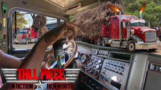 Tall Piece In Action  Shifting 18 Speed  Kenworth T800  Cane Crop 2024  Worthy Park Estate [upl. by Aseena654]